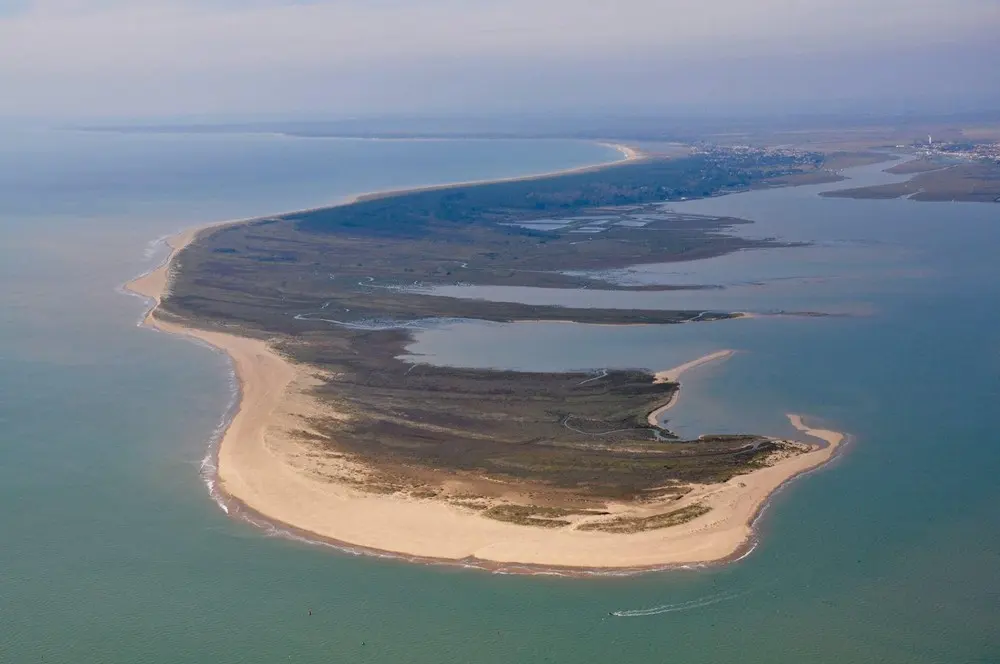 Domaine de la Presqu'Ile - La Faute-sur-Mer (null)