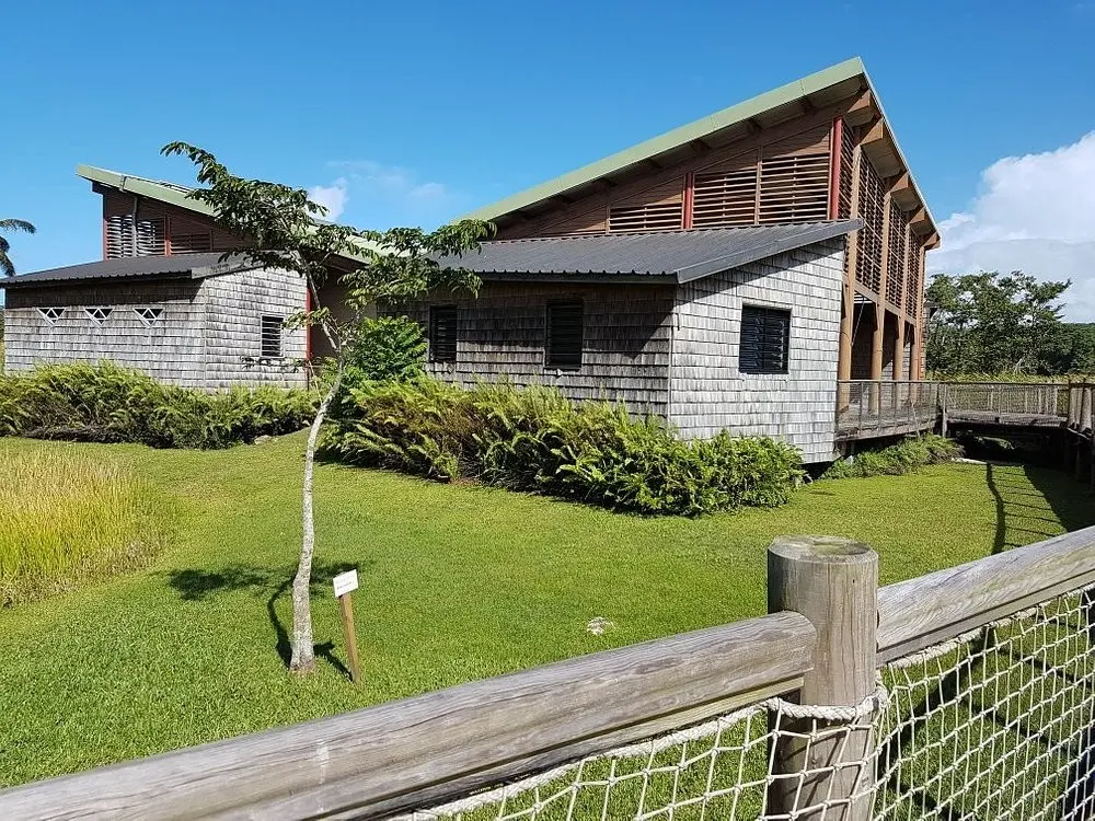 Taonaba Maison de la Mangrove - Les Abymes (Guadeloupe)