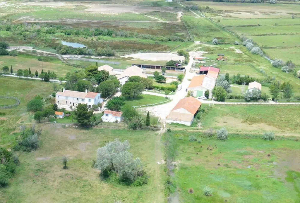 Manade Laurent - Les Marquises - Salin-de-Giraud (null)
