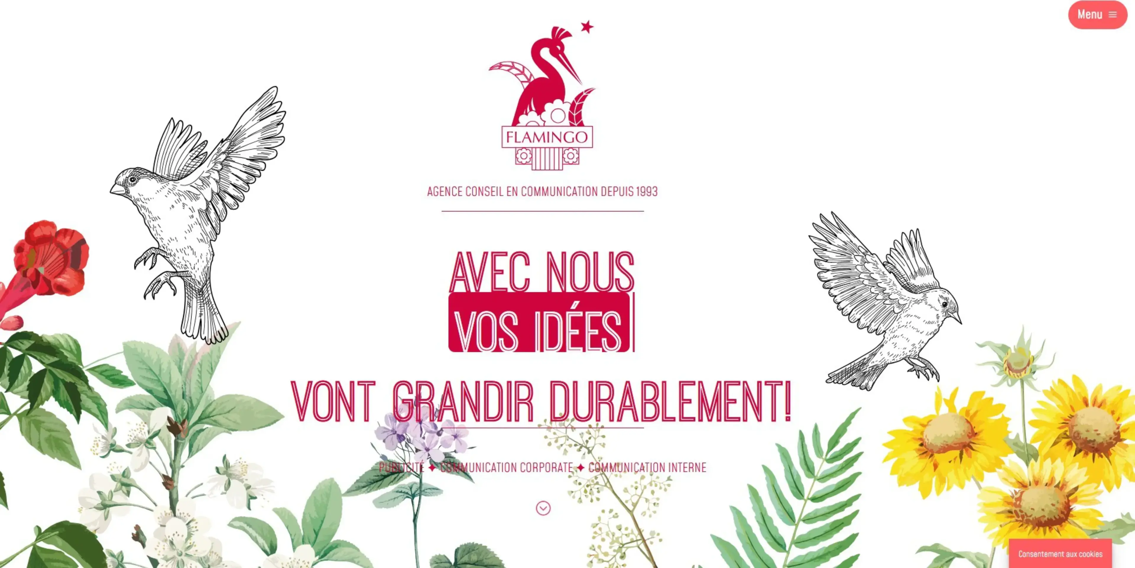 Flamingo Communications - BLOIS (Loir-et-Cher)