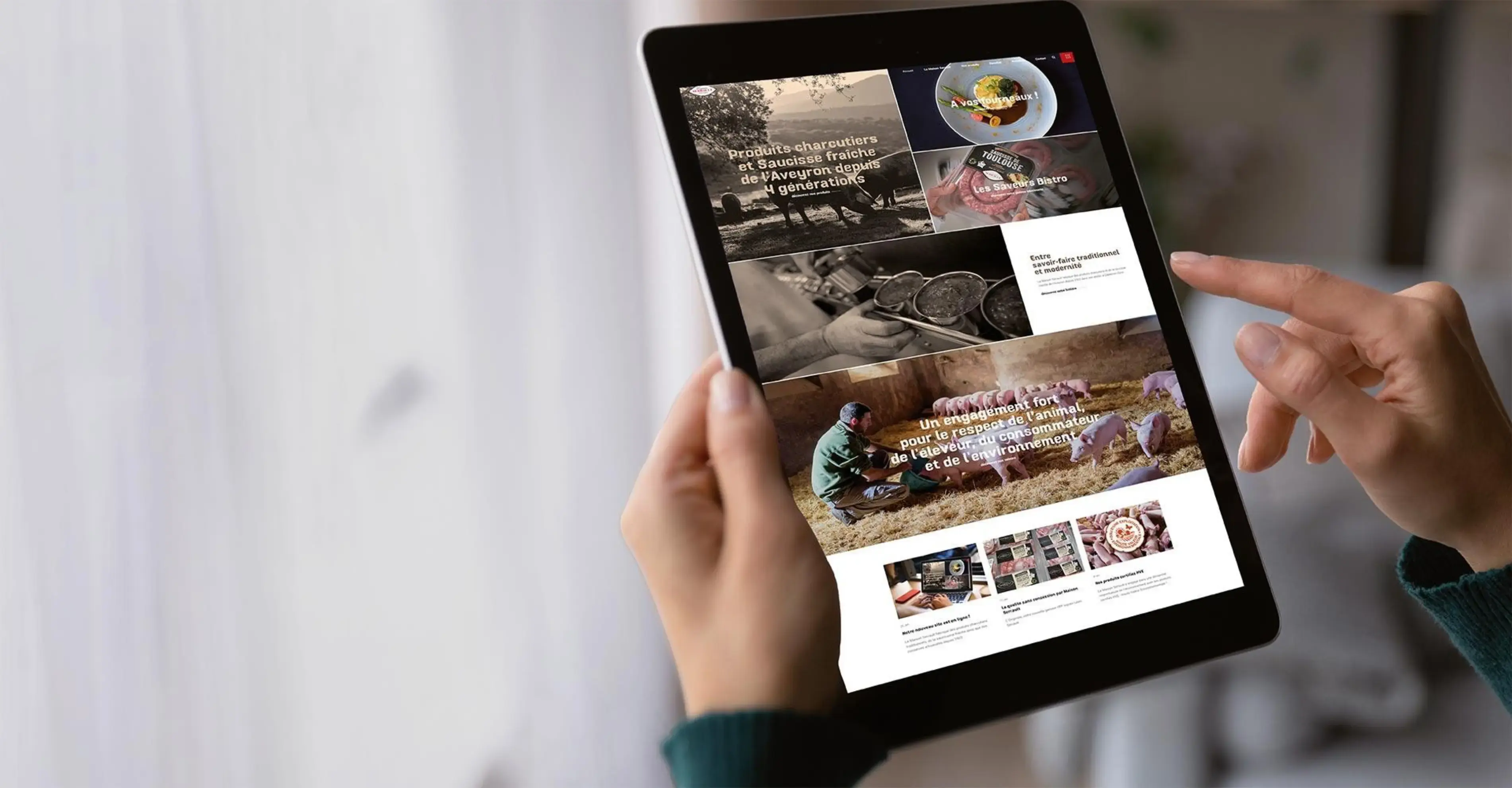 Couleur Pollen - MONTAUBAN (Tarn-et-Garonne)