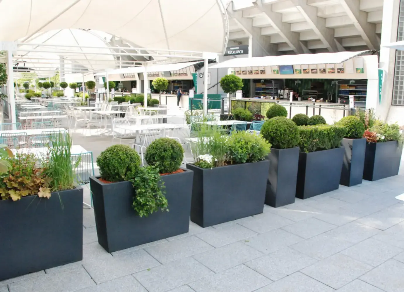 Atout Vert - NOISY-LE-ROI (Yvelines)