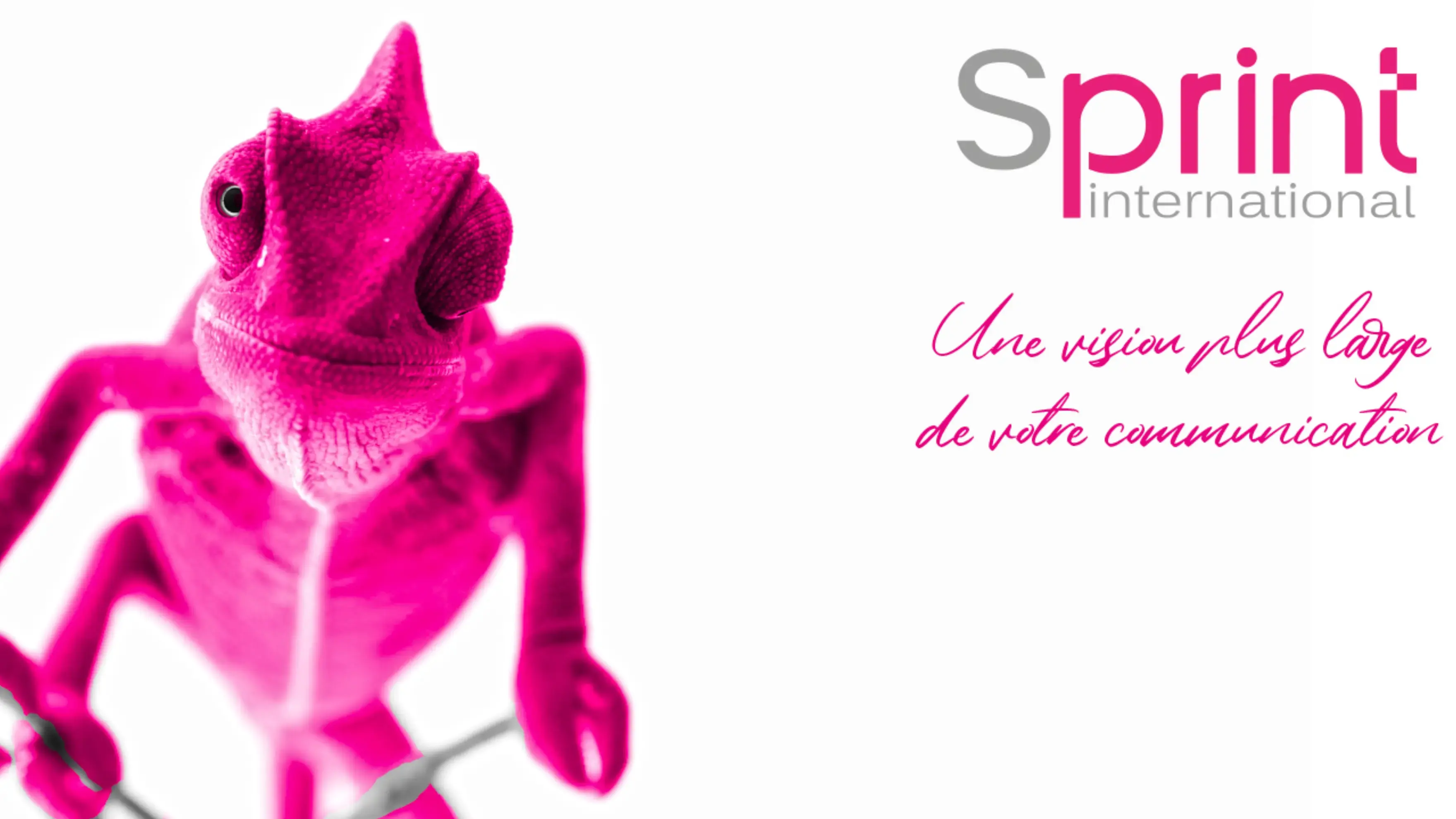Sprint International - PERPIGNAN (Pyrénées-Orientales)