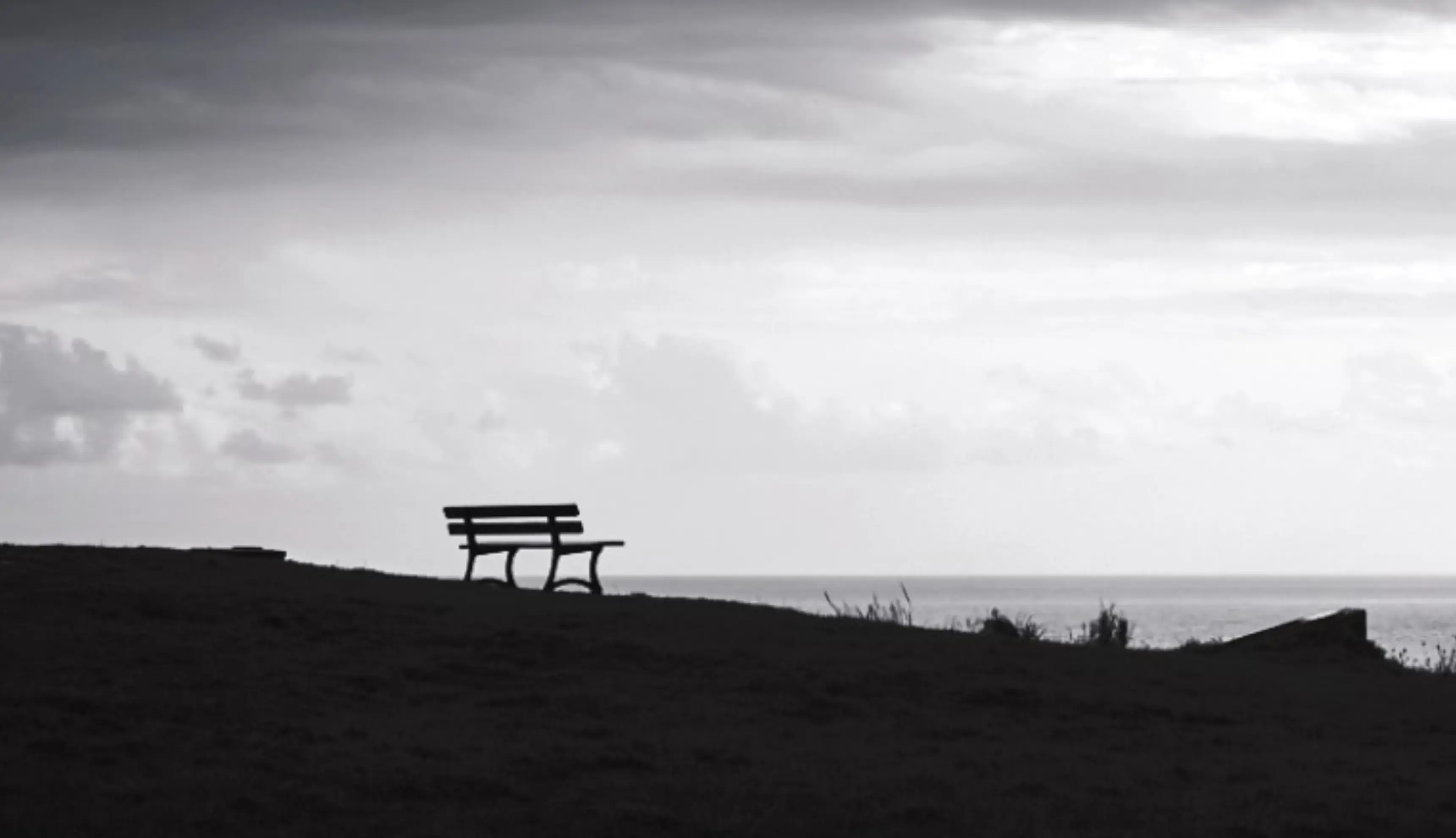 Arts Photo Passion - CANNES (Alpes-Maritimes)