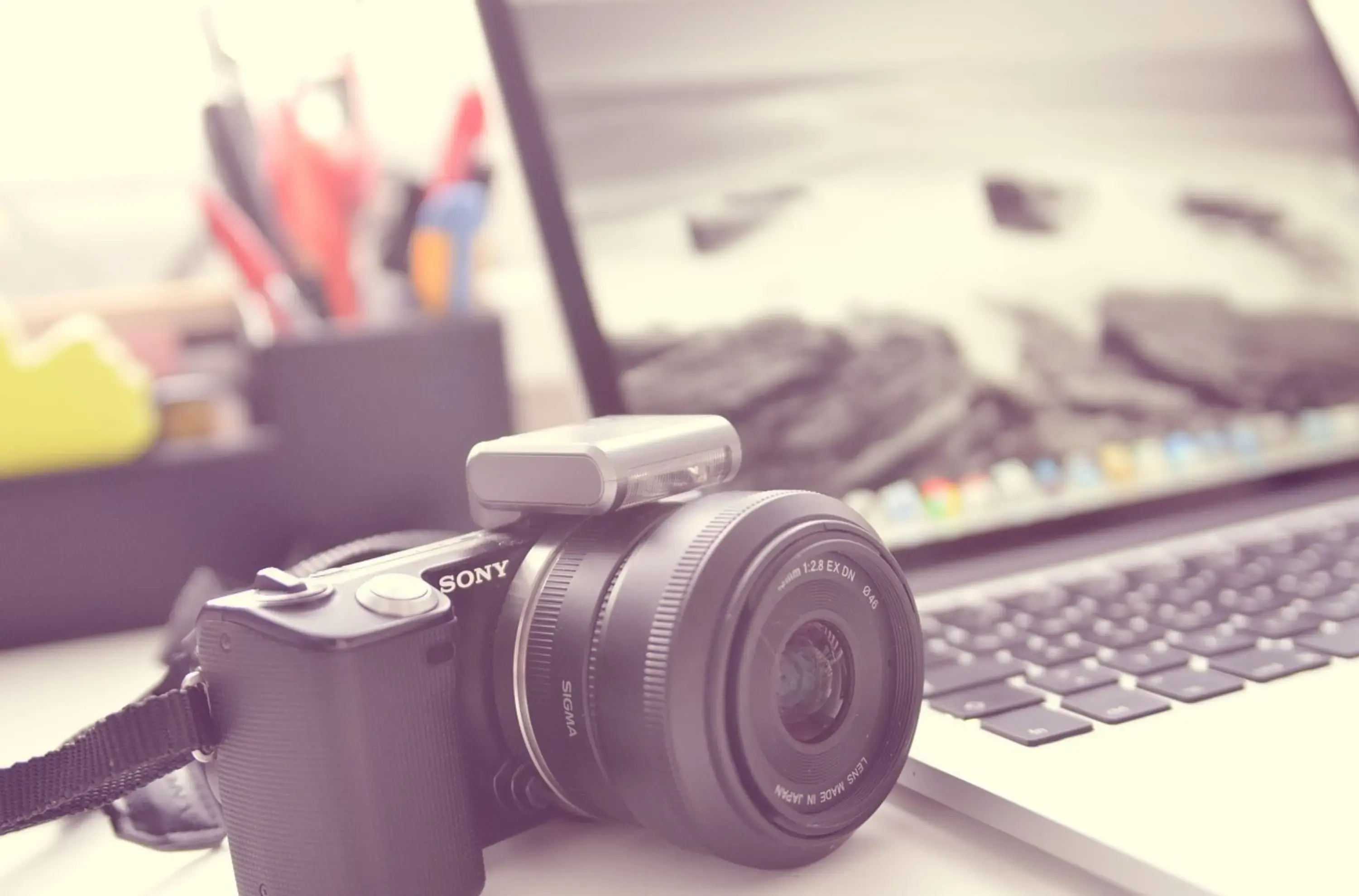 Alexandre Argy Photographe - SAINT-MARTIN-DE-FONTENAY (Calvados)