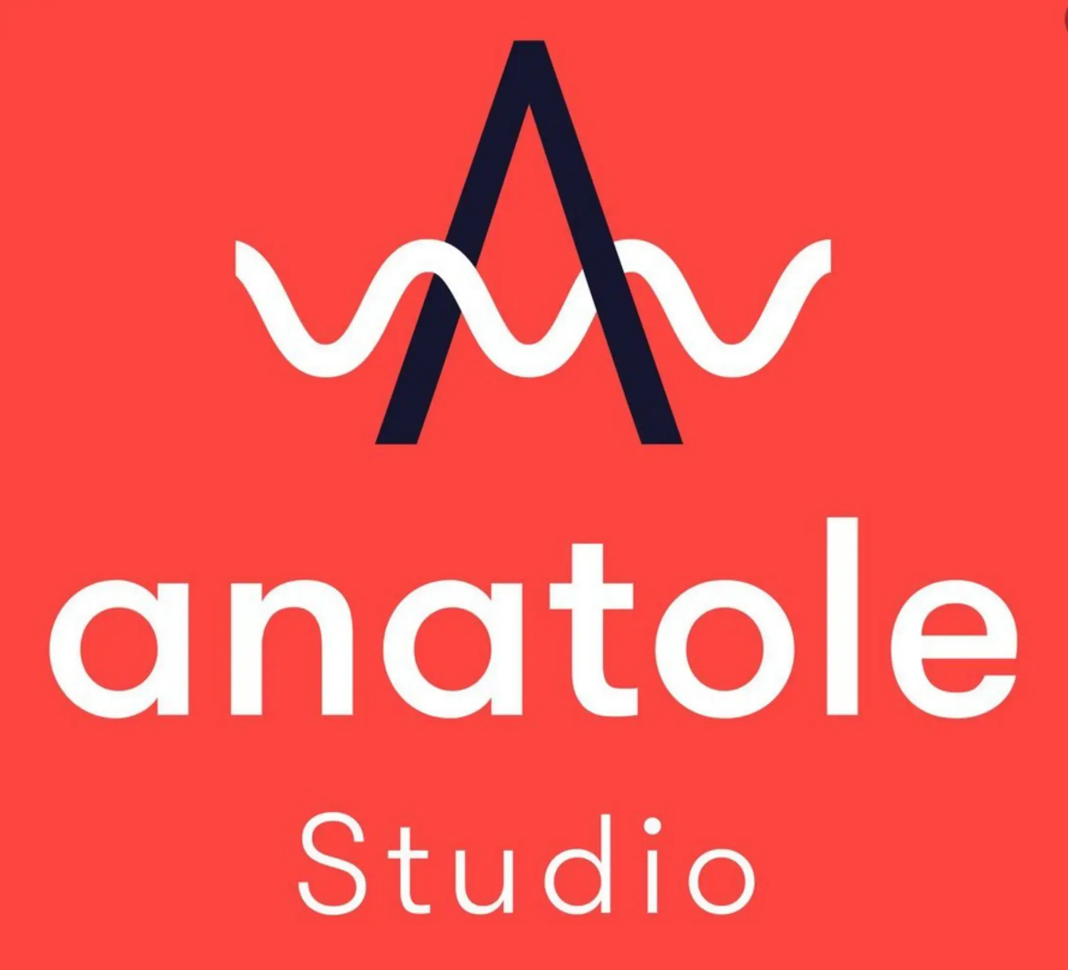 Studio Anatole - LYON (Rhône)