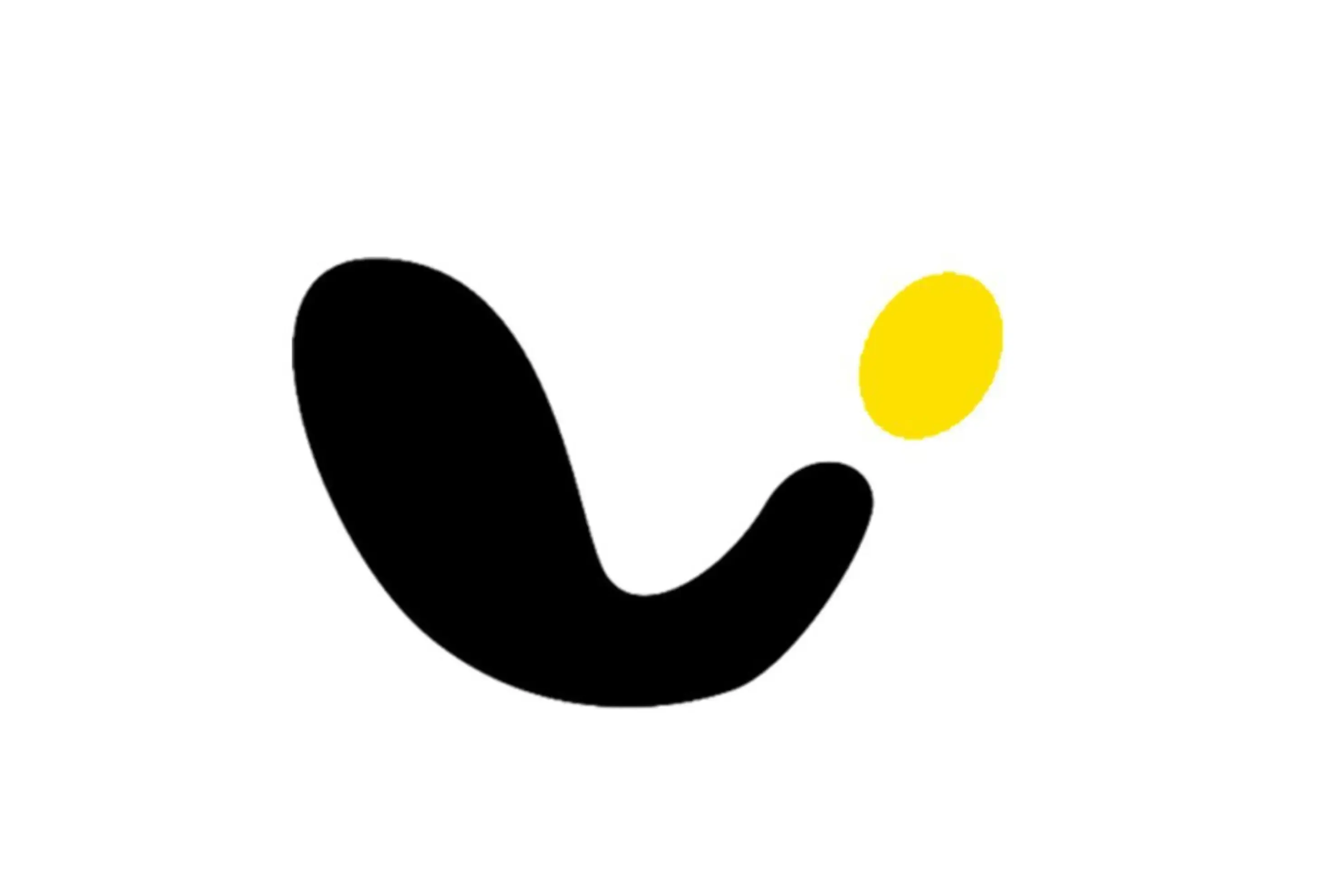 Vidéoscope Multimédia - SAINT-ETIENNE (Loire)