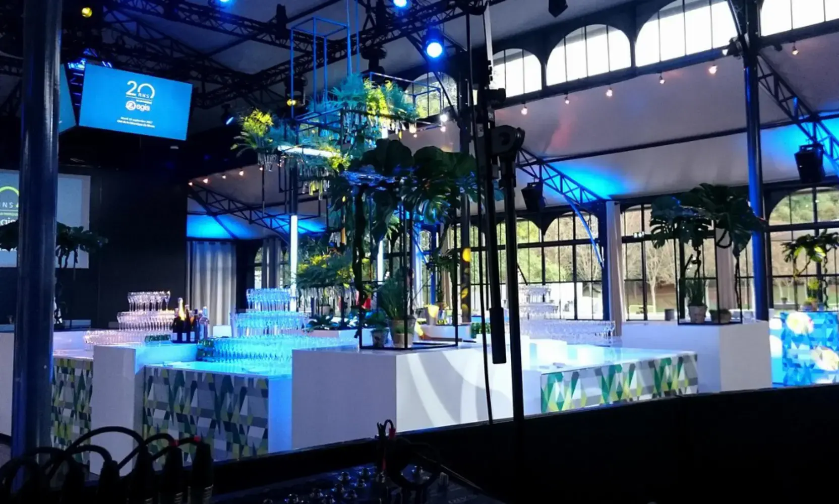 Digital Vision - MOUANS-SARTOUX (Alpes-Maritimes)