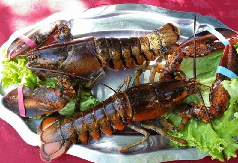 Tam Ky - TOULON (Var)