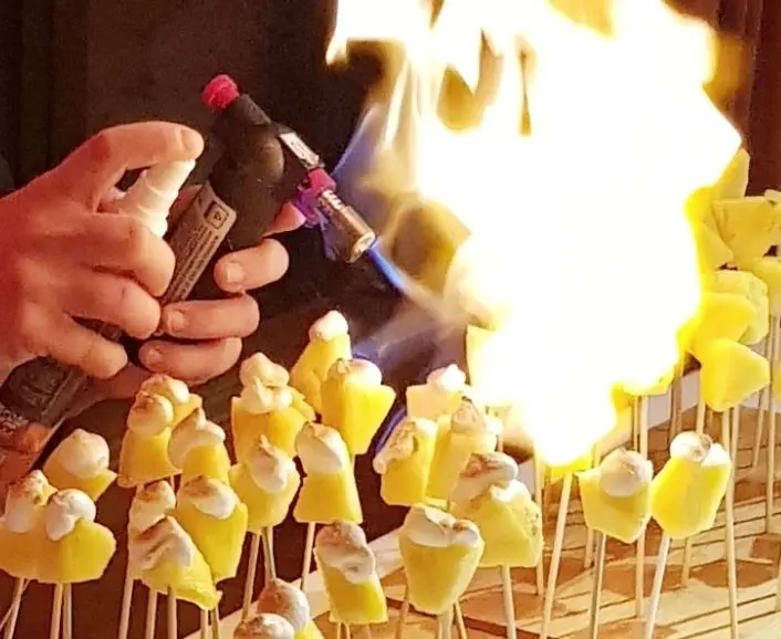 Falcou - SAINT-JEAN (Haute-Garonne)