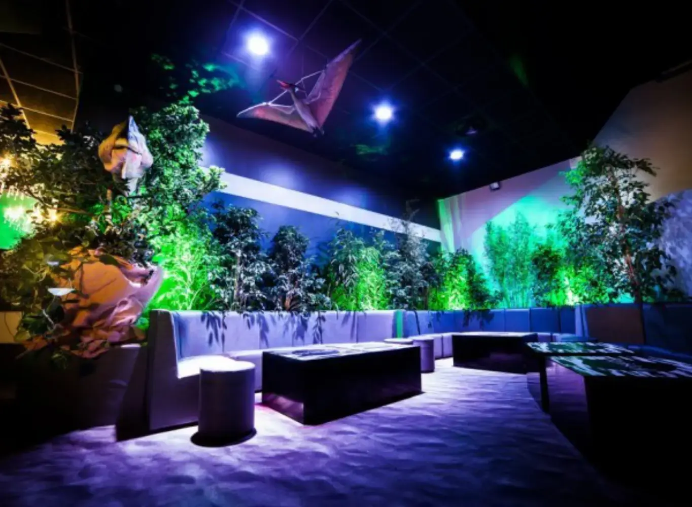 Location de Plantes Vertes - SCHILTIGHEIM (Bas-Rhin)