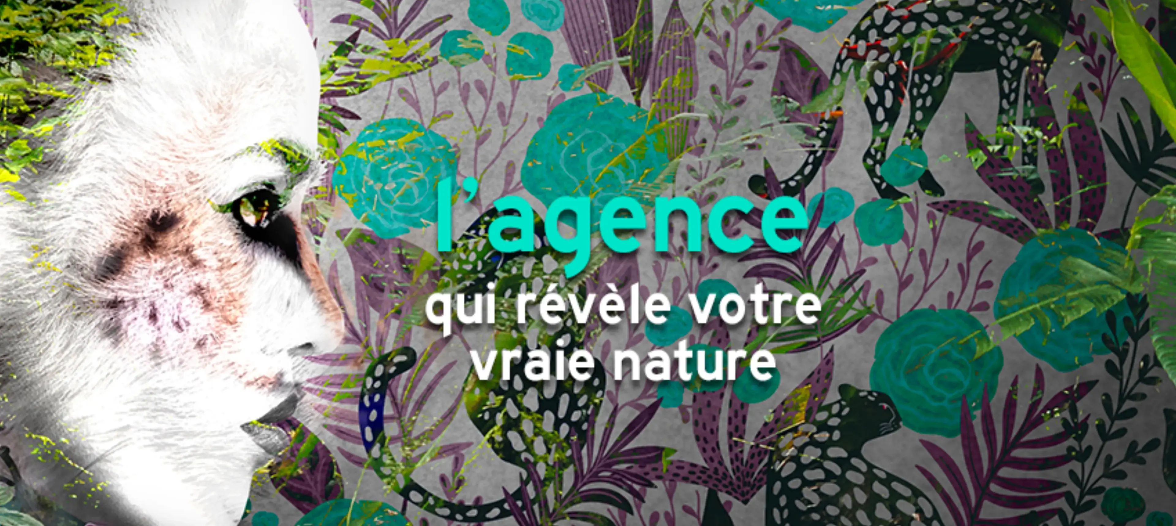 Matiere Grise - STRASBOURG (Bas-Rhin)