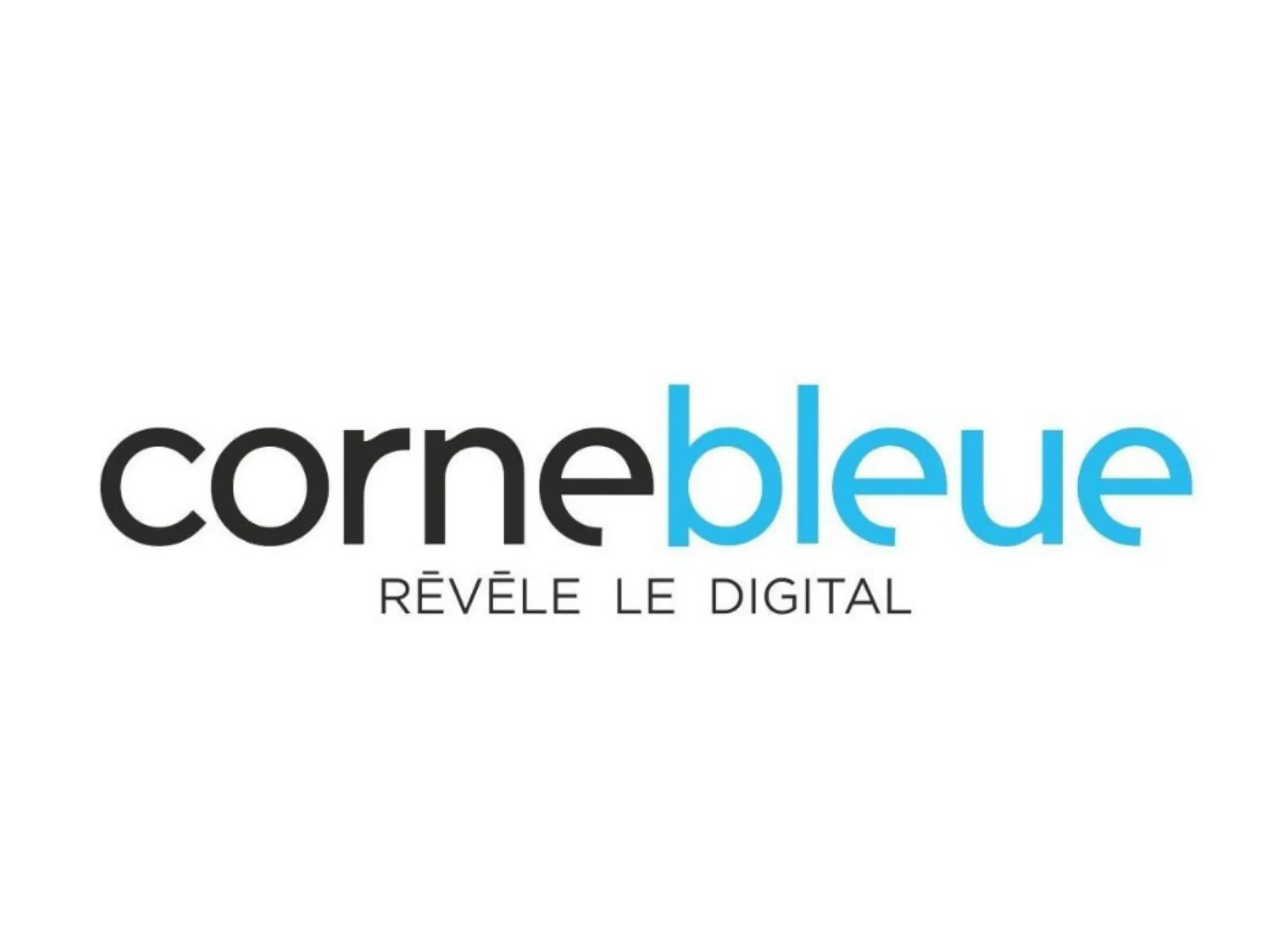 Corne Bleue - SAINT-ETIENNE (Loire)