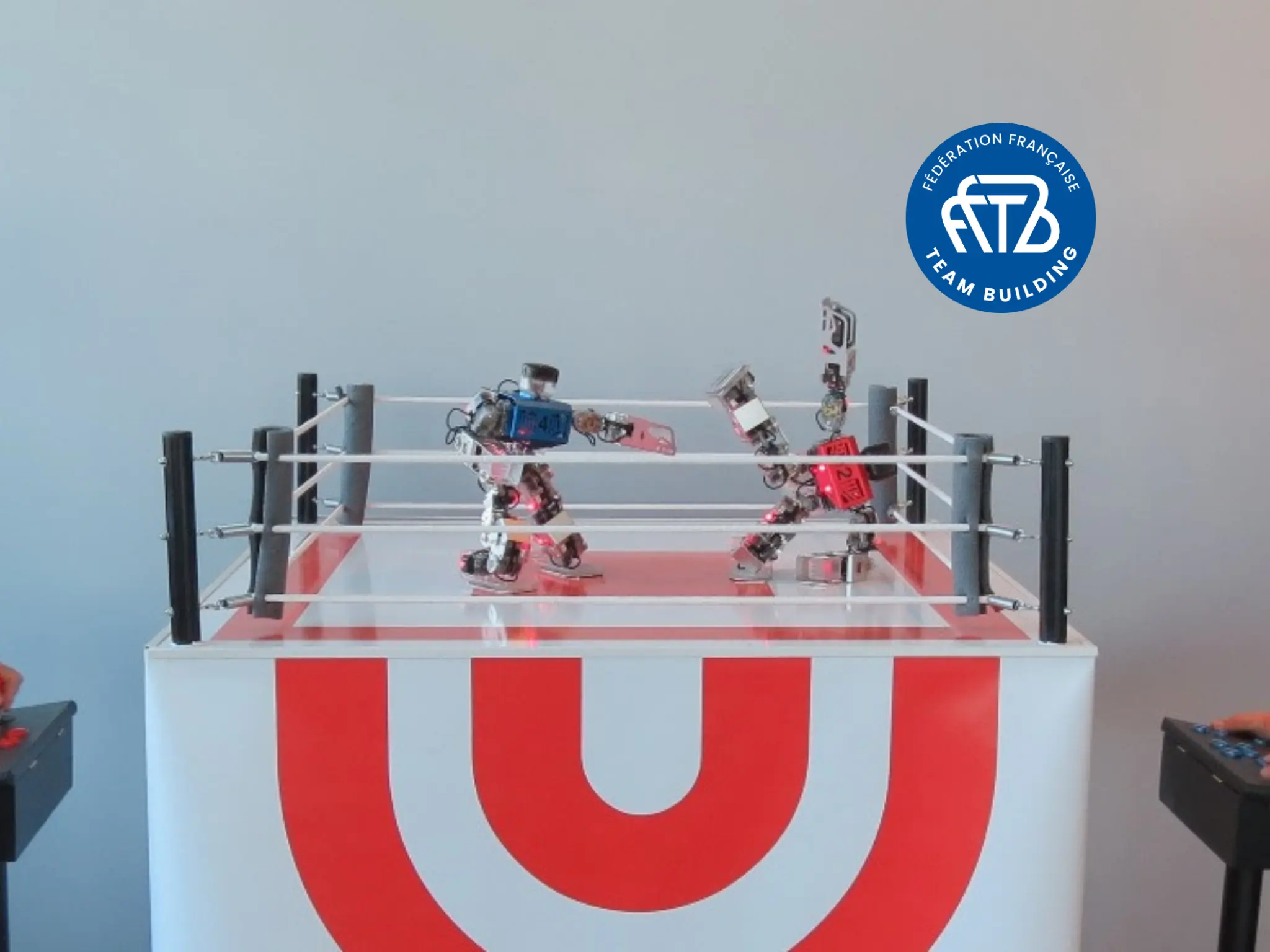 Robot Foot ou Boxe - PARIS (75)