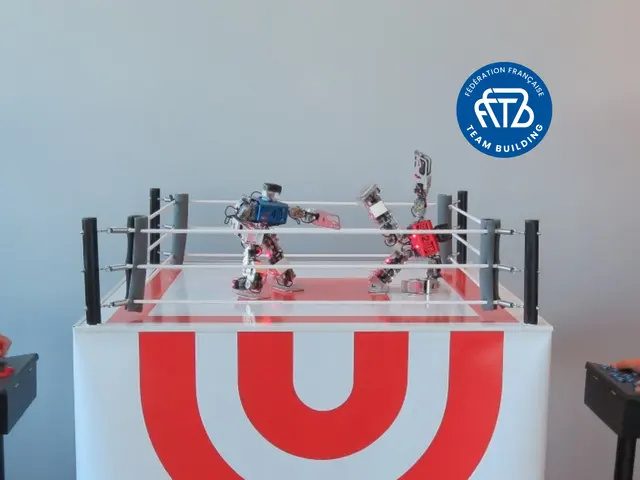 Robot Foot ou Boxe - PARIS (75)