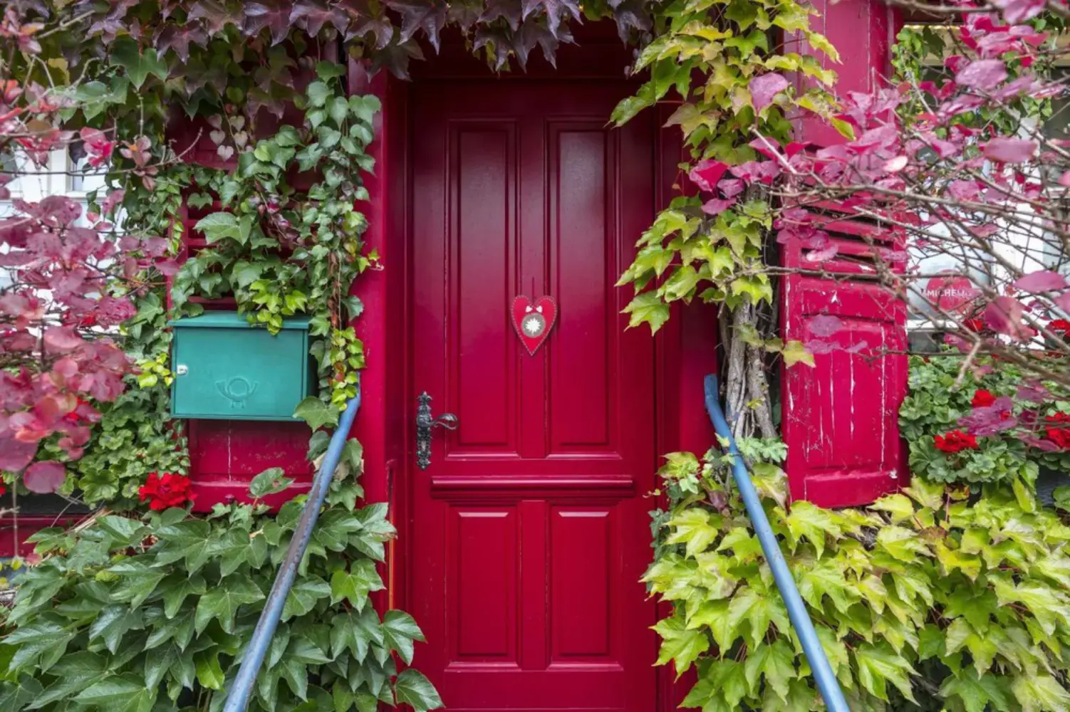 La Vignette - STRASBOURG (Bas-Rhin)