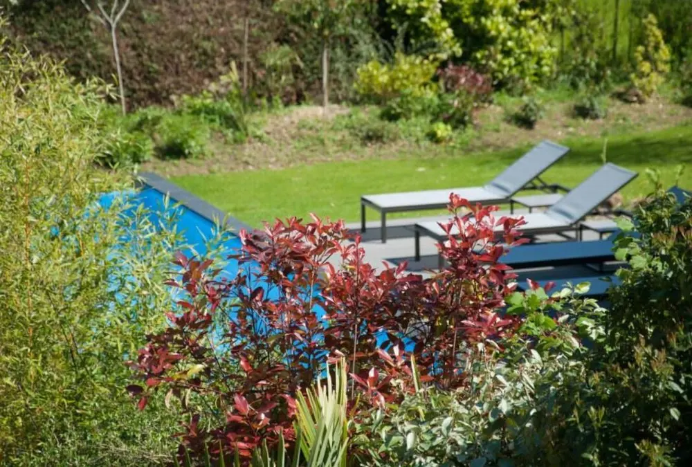 Le Saison - SAINT-GREGOIRE (Ille-et-Vilaine)