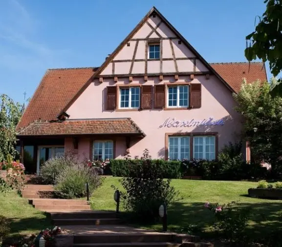 Le Maximilien - ZALLENBERG (Haut-Rhin)