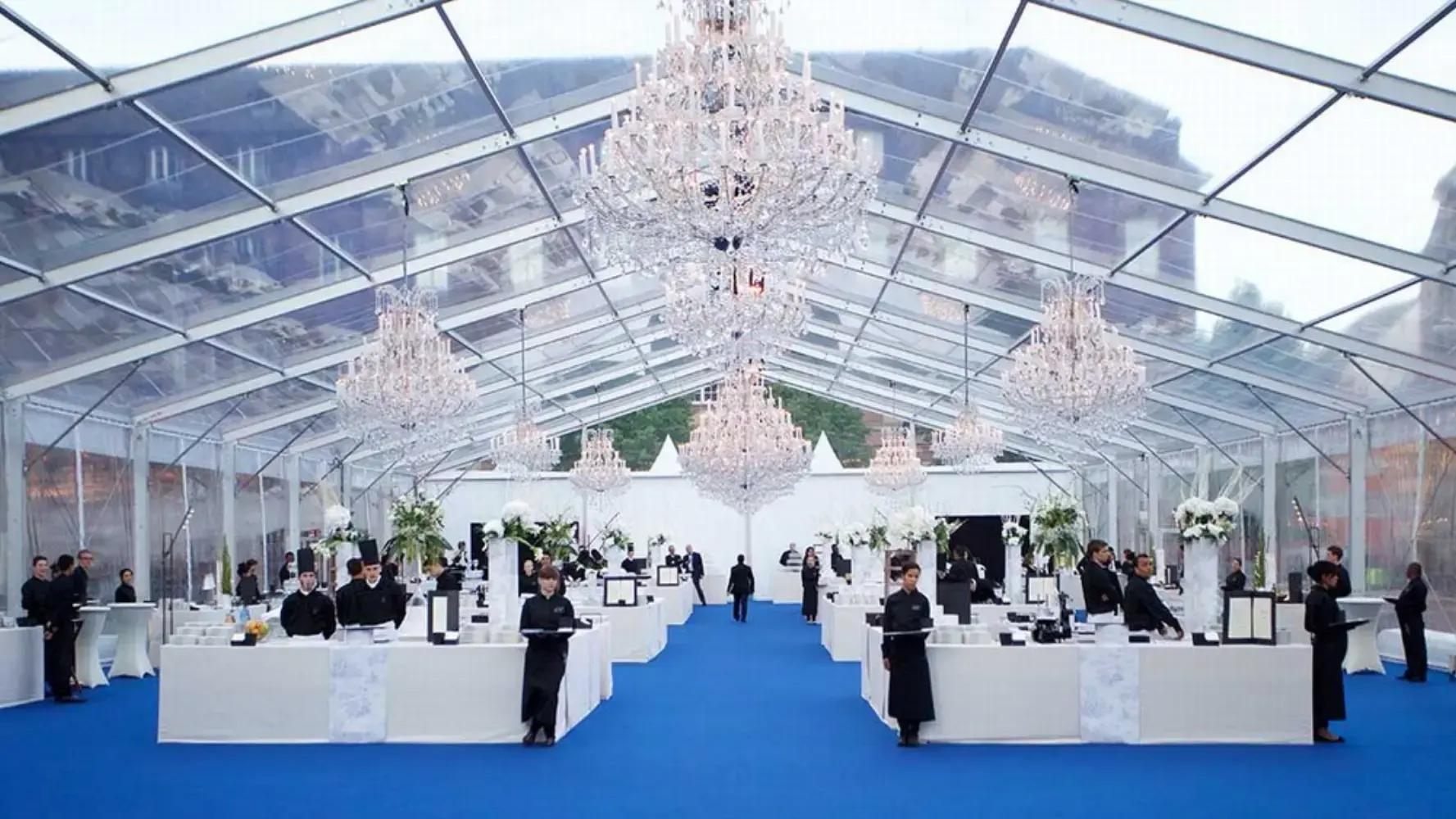 Marco Tullio - NANCY (Meurthe-et-Moselle)