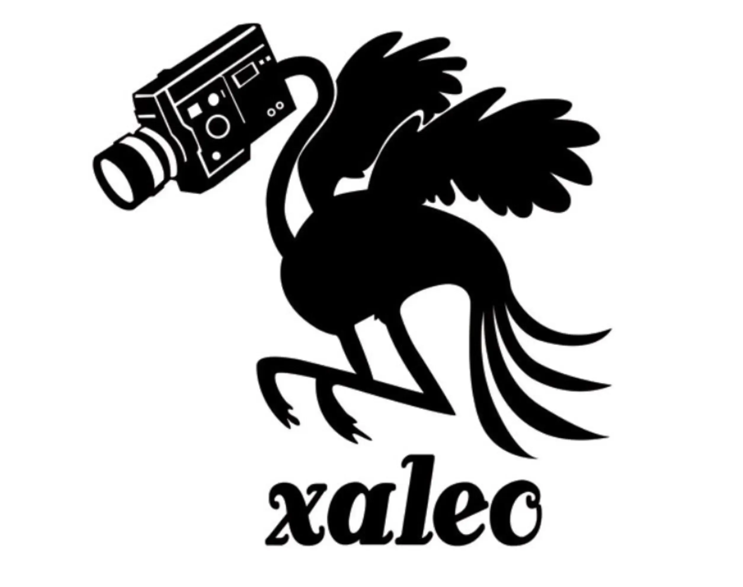 Xaleo Studio - BORDEAUX (Gironde)