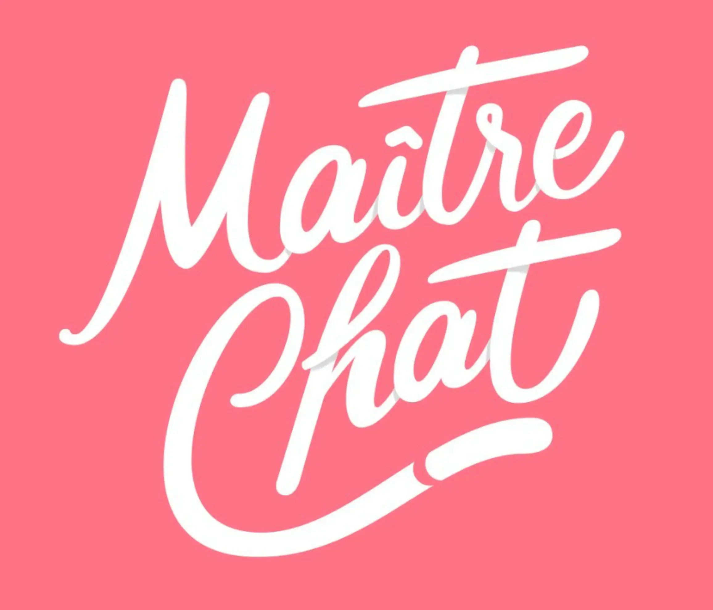 Maître Chat - LYON (Rhône)