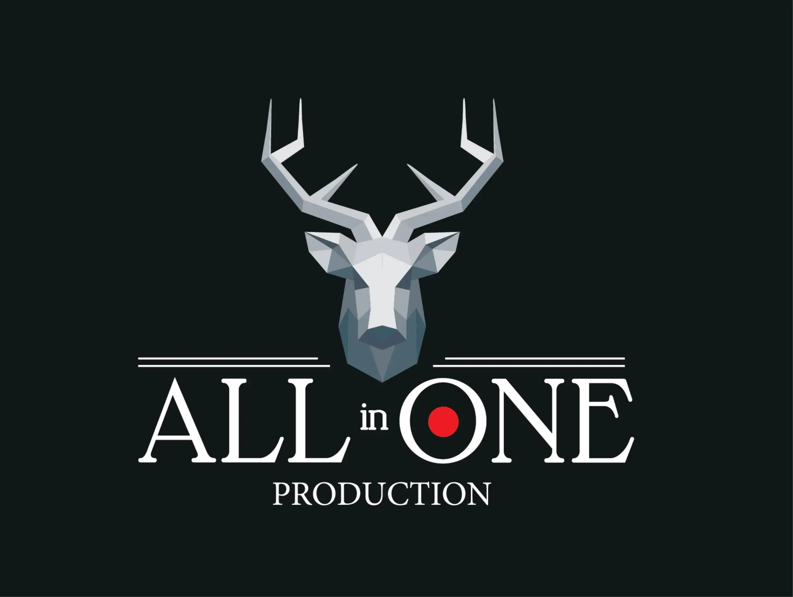 All in One Production - ROUZIERS-DE-TOURAINE (Indre-et-Loire)
