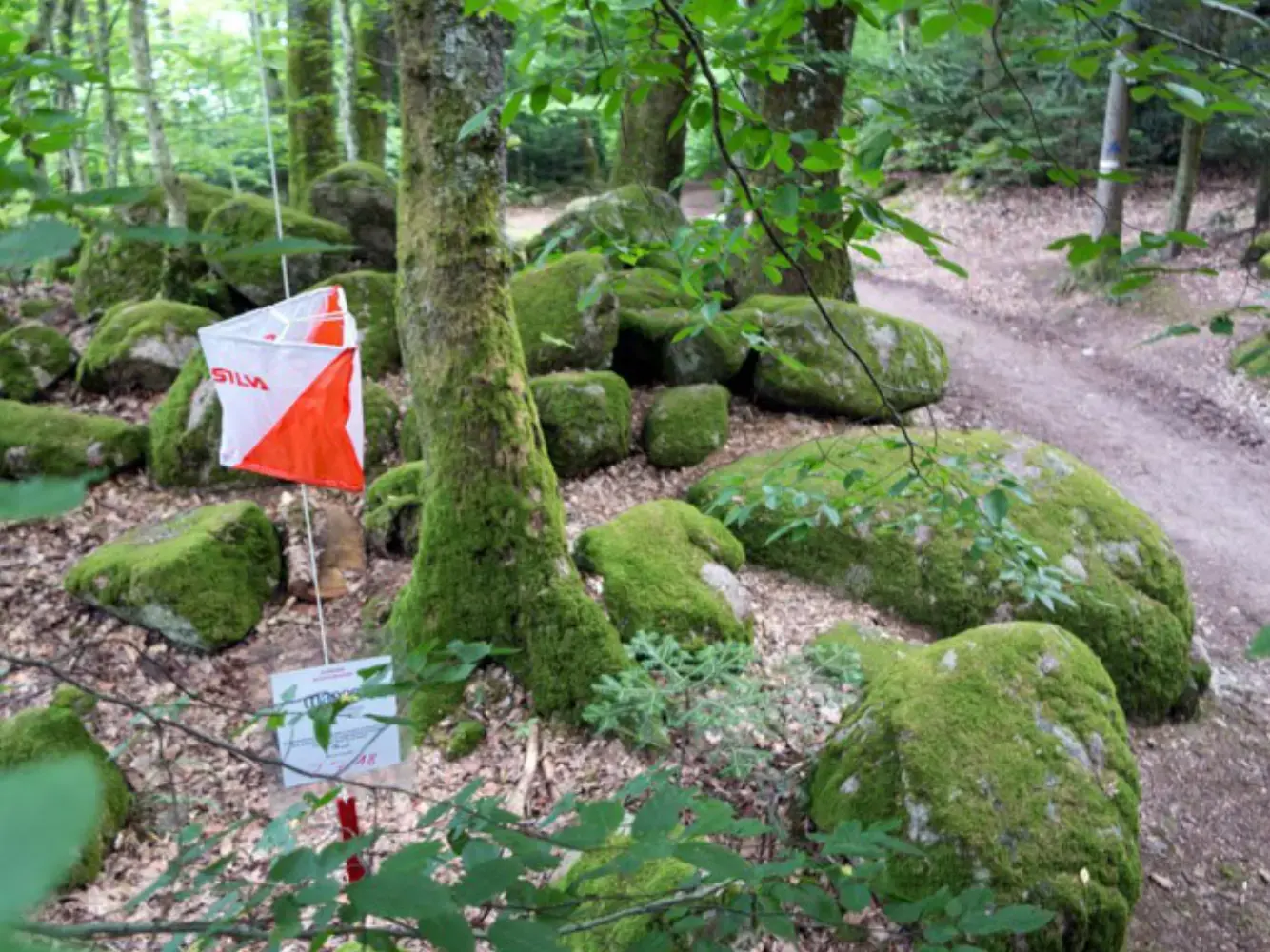 Maorn - EPFIG (Bas-Rhin)