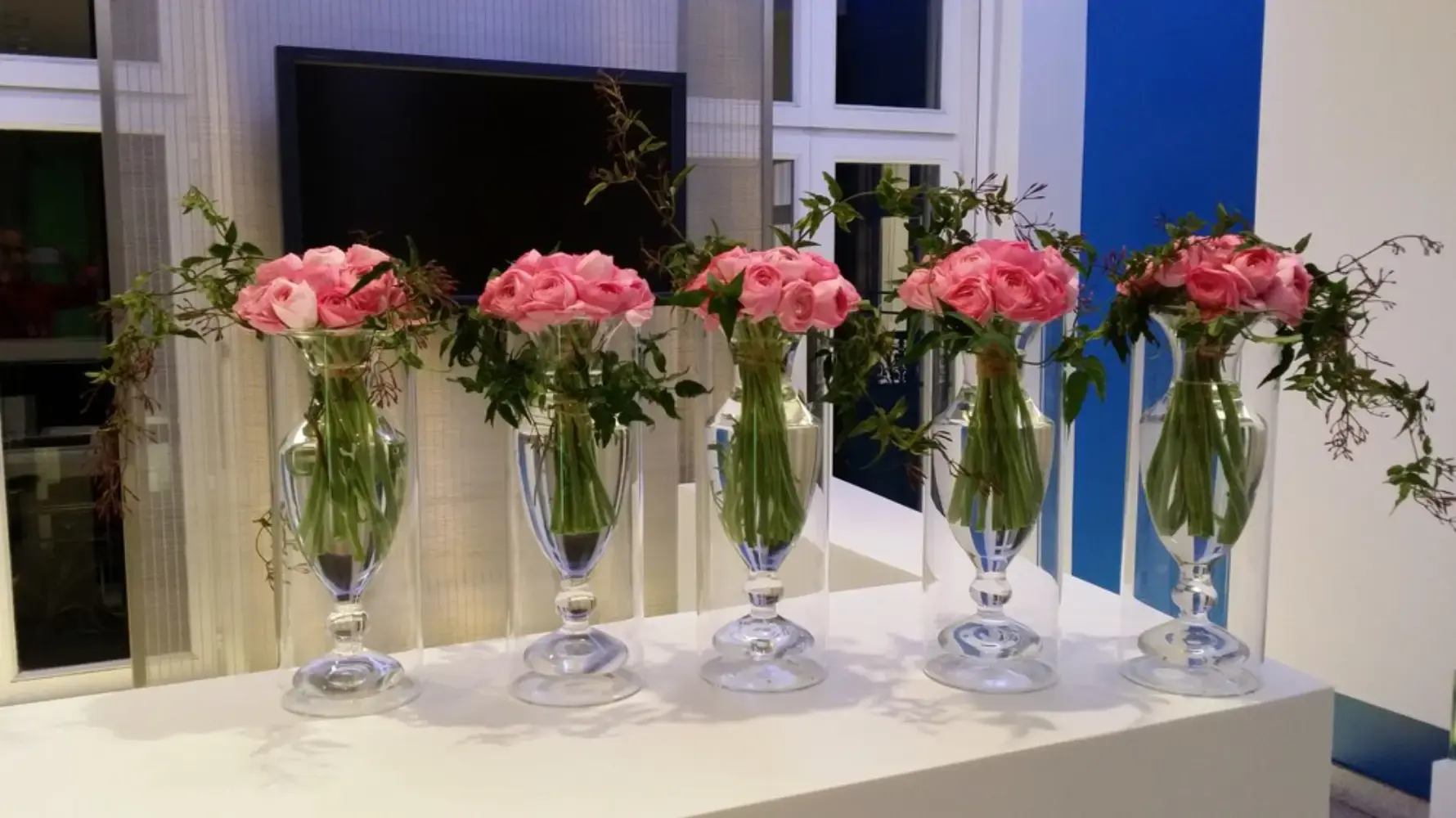 Hanami - SAINT-MEDARD-EN-JALLES (Gironde)