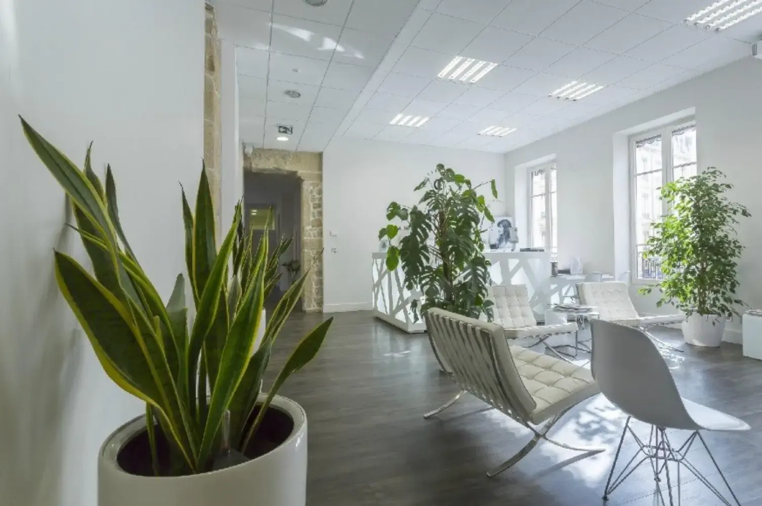 Season Box - CALUIRE-ET-CUIRE (Rhône)