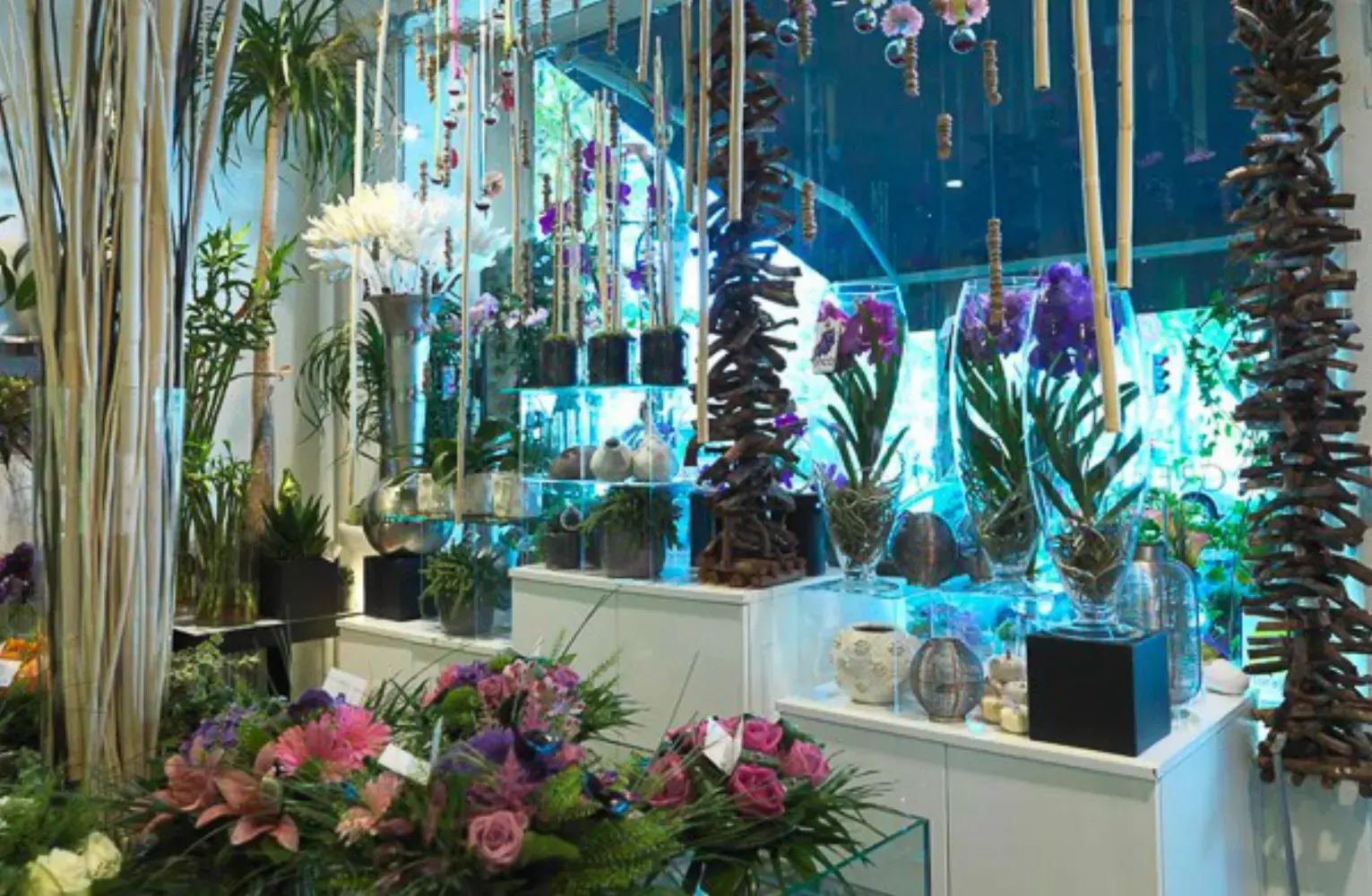 Green Fleuriste - STRASBOURG (Bas-Rhin)