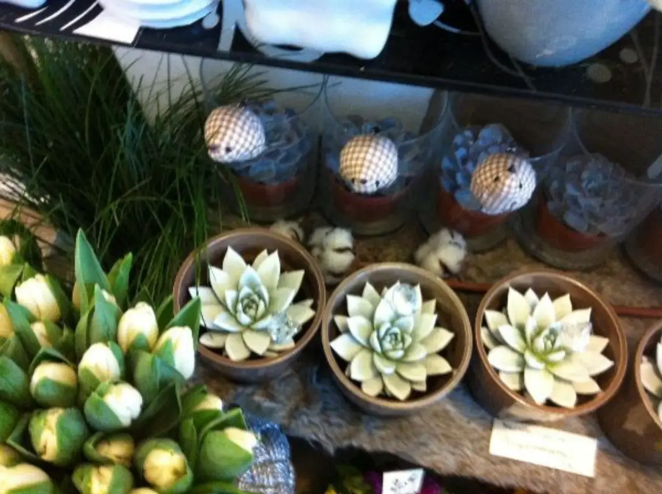 L'Etang Fleuri - VERT-LE-PETIT (Essonne)