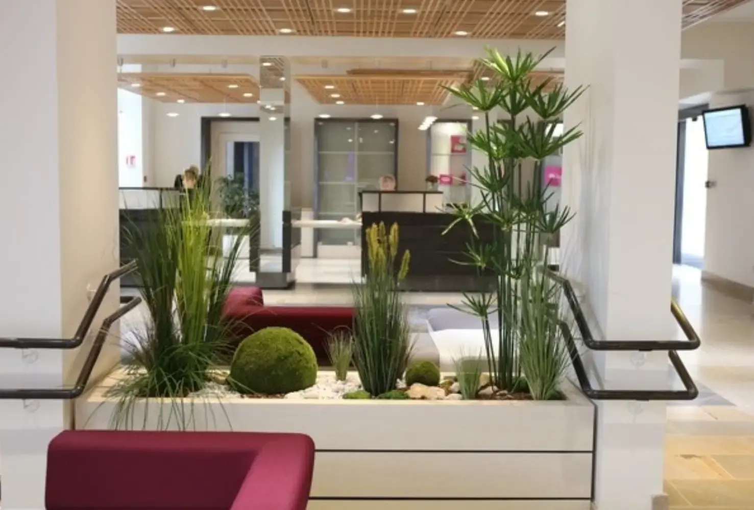 Home végétal - BESANCON (Doubs)