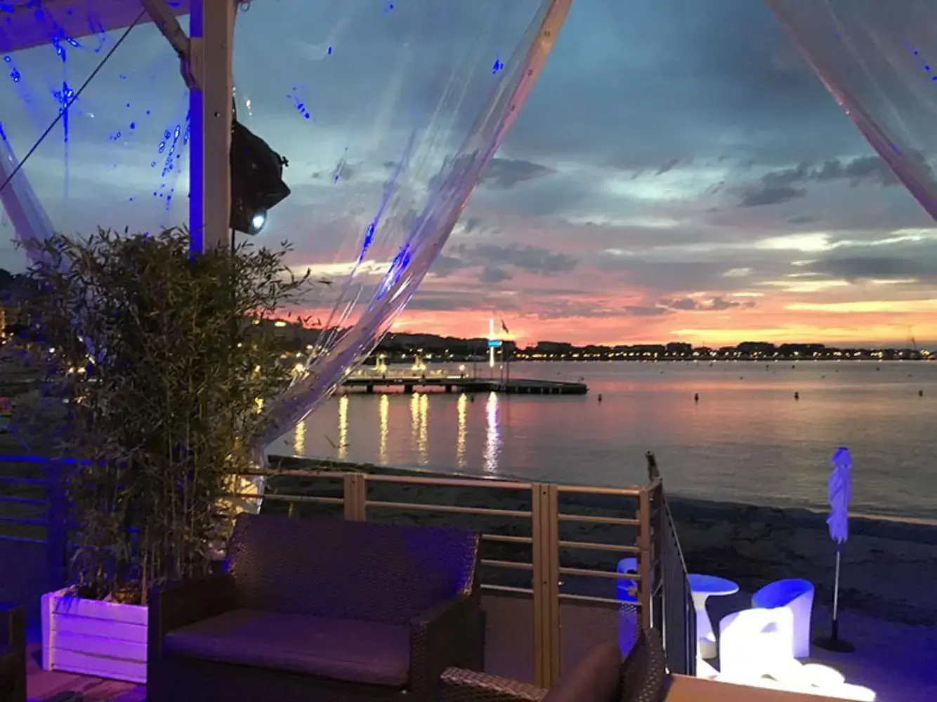 Riviera Plantes - GRASSE (Alpes-Maritimes)