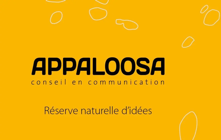 Appaloosa - PLOUIGNEAU (Finistère)