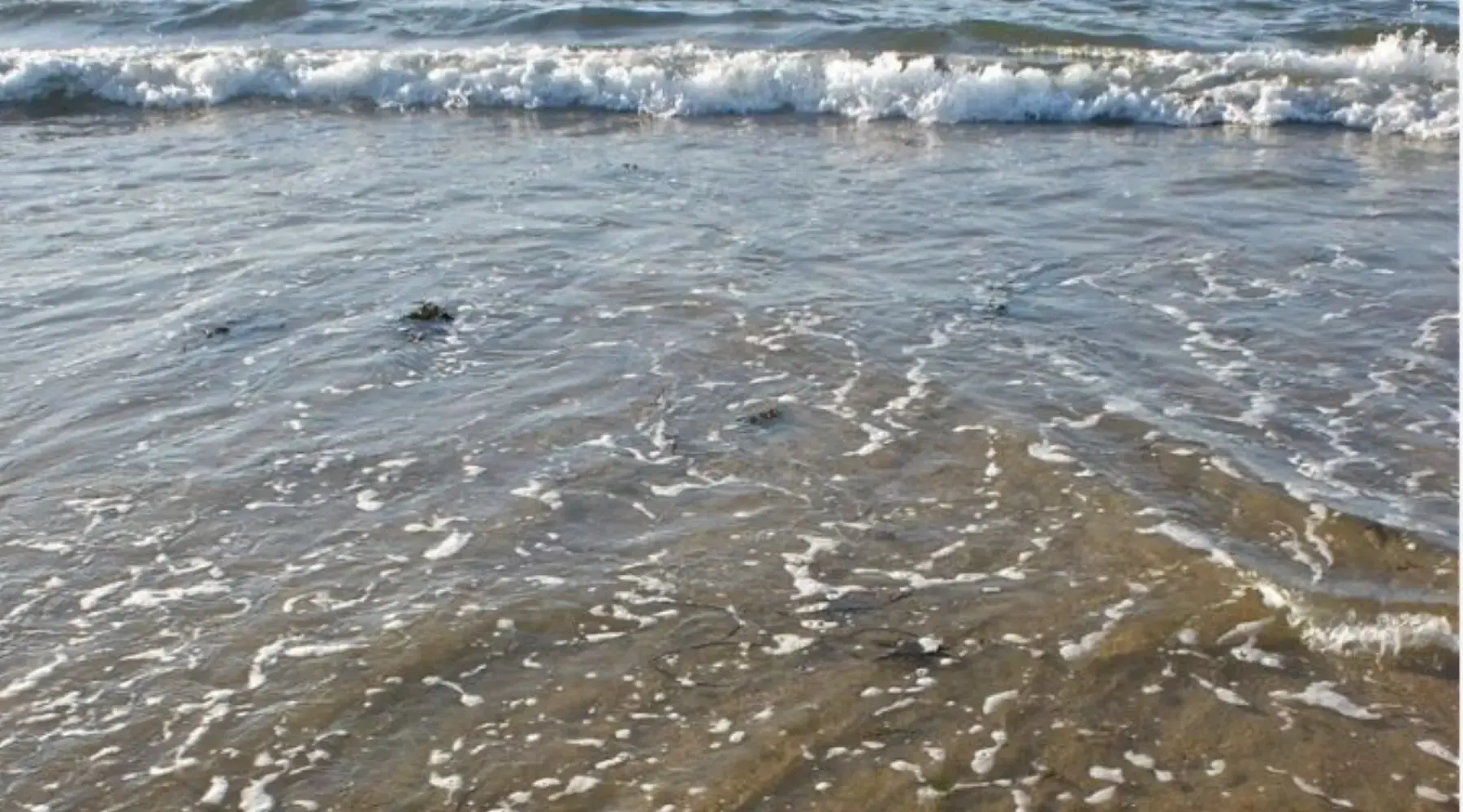 Françoise Mclean - PLEURTUIT (Ille-et-Vilaine)