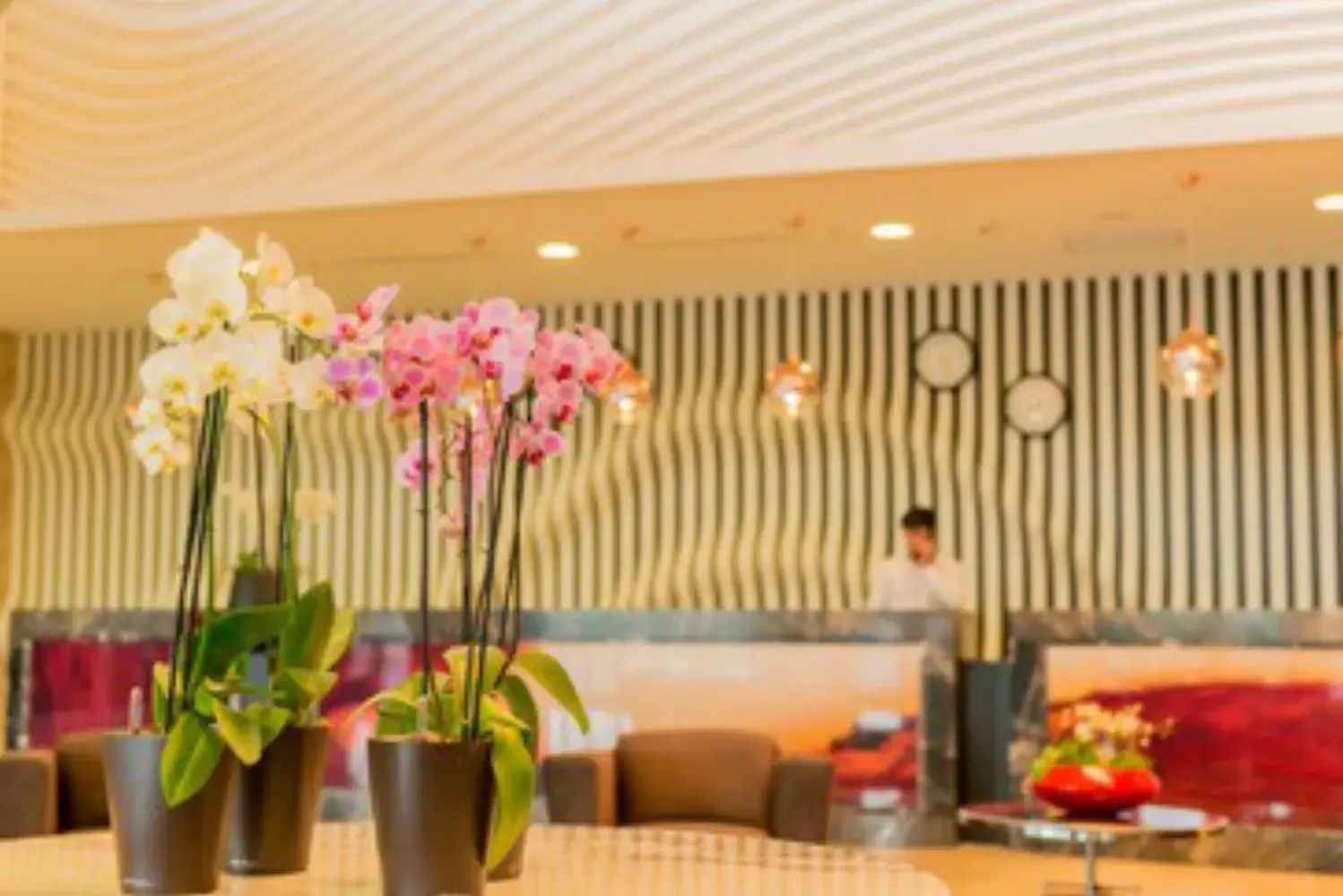 Comptoir Floral - CHOLET (Maine-et-Loire)