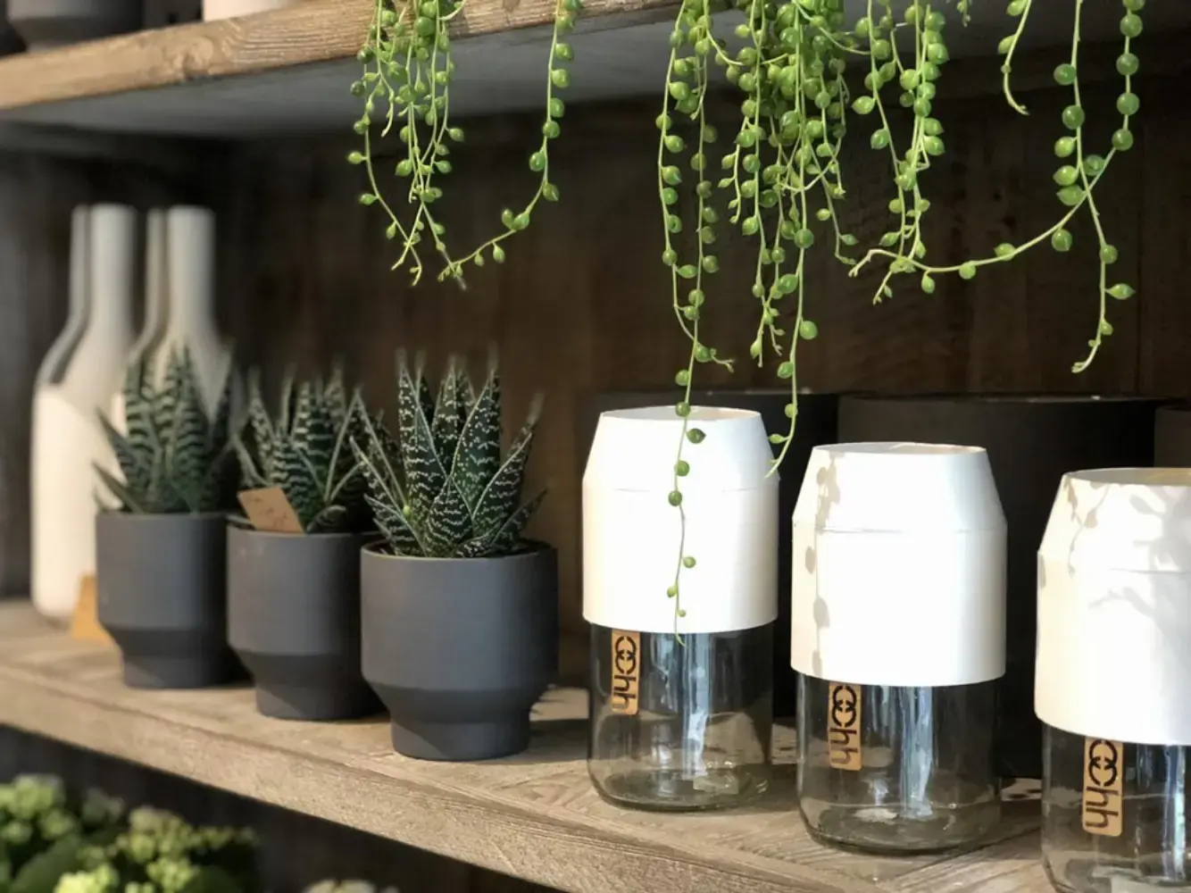 Le Naturel Fleuriste - VANNES (Morbihan)