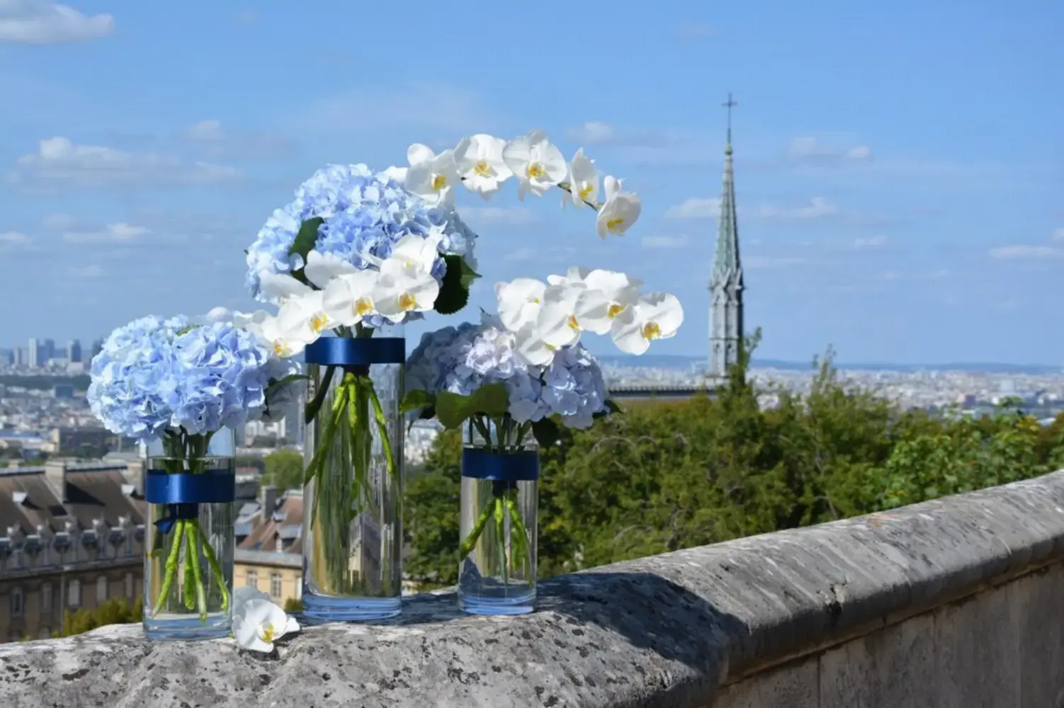 Marie Paolini - CLAMART (Hauts-de-Seine)