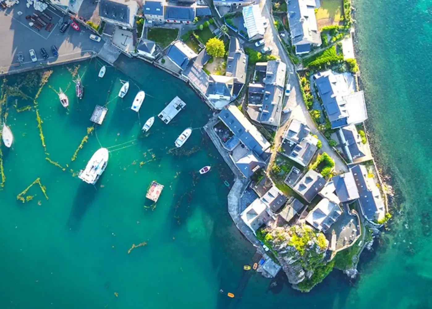 Dronelis - NANTES (Loire-Atlantique)