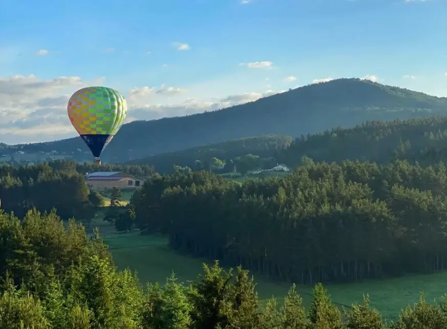 Airshow - PARIS (Paris)