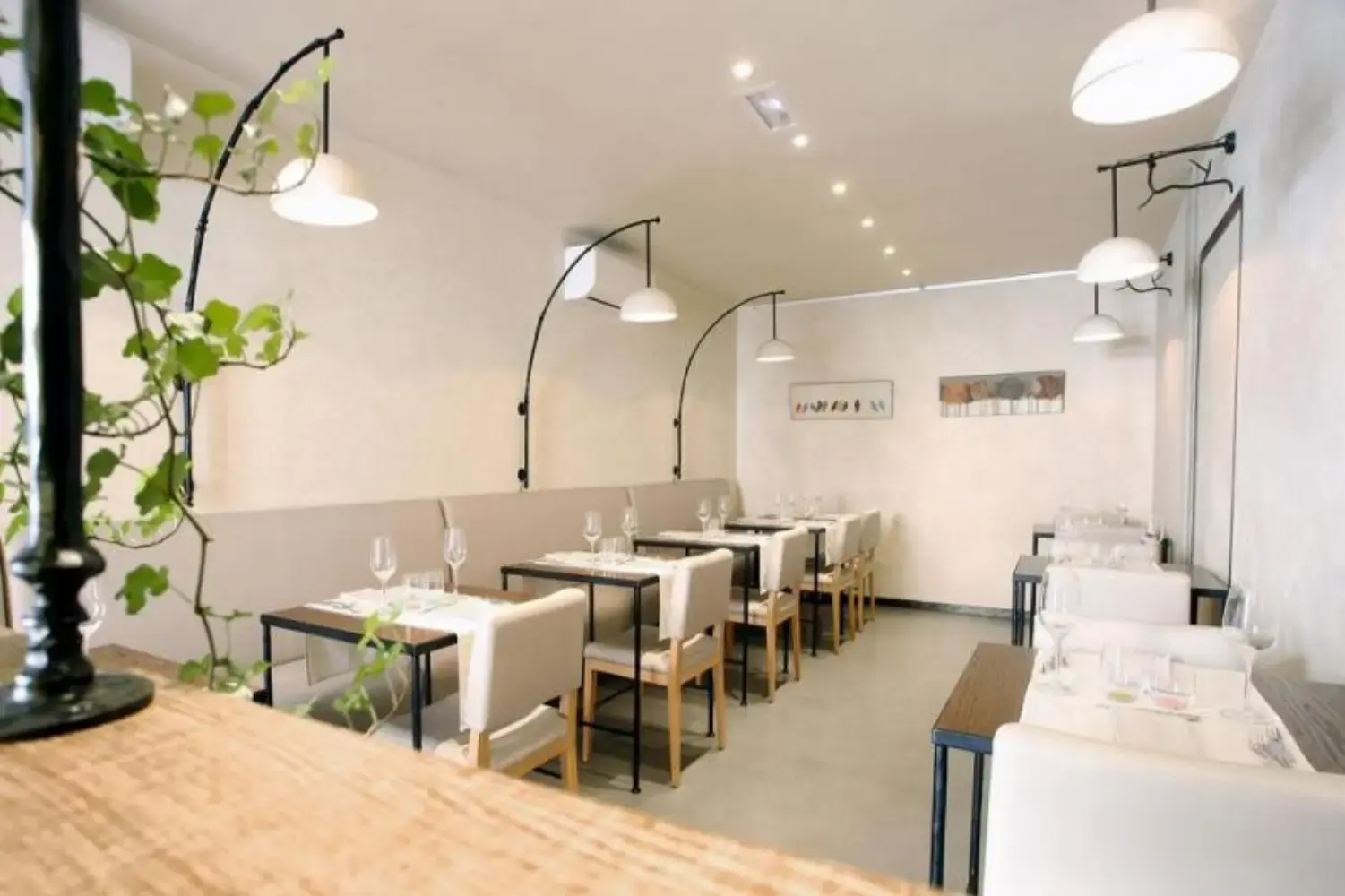 L'Asperule Auxerre - AUXERRE (Yonne)