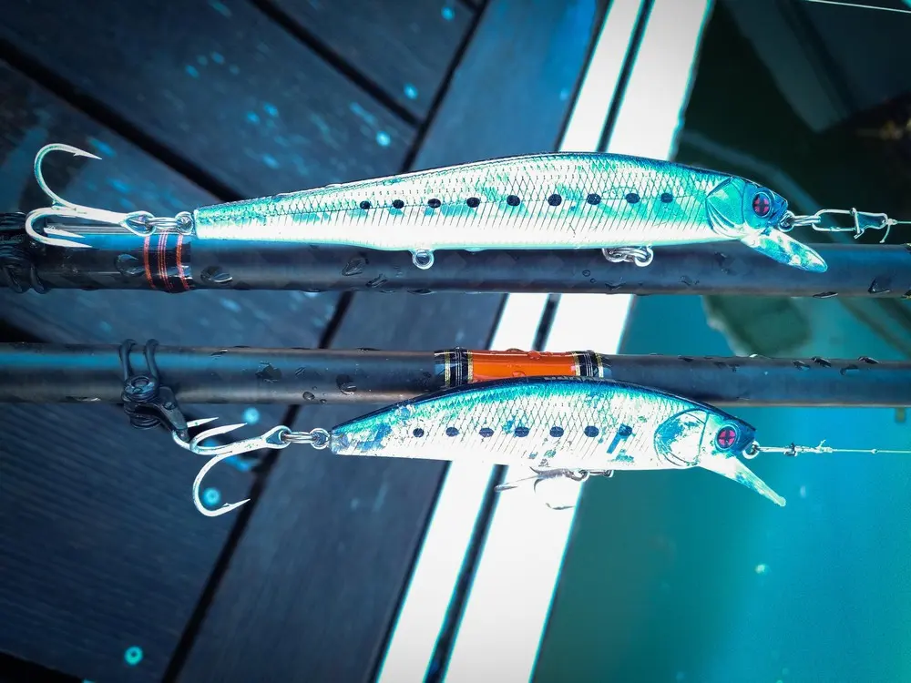 Lorient Passion Pêche - SAINTE-HELENE-SUR-MER (Morbihan)