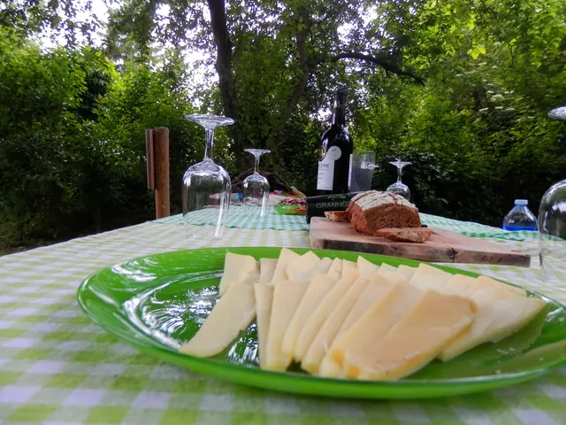 Kayak apéro - Clermont-le-Fort (31)