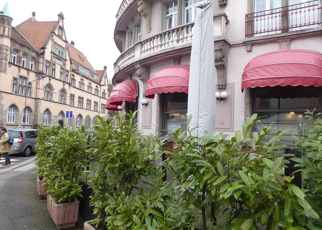 L'Entrecôte de Mulhouse - MULHOUSE (Haut-Rhin)