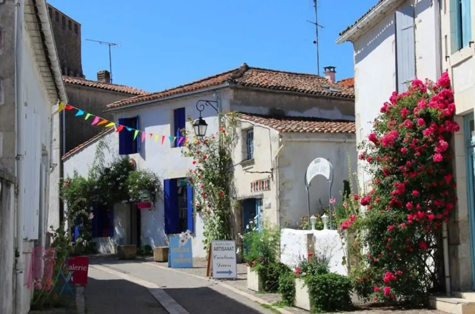 Les Basses Amares - MORNAC-SUR-SEUDRE (Charente-Maritime)