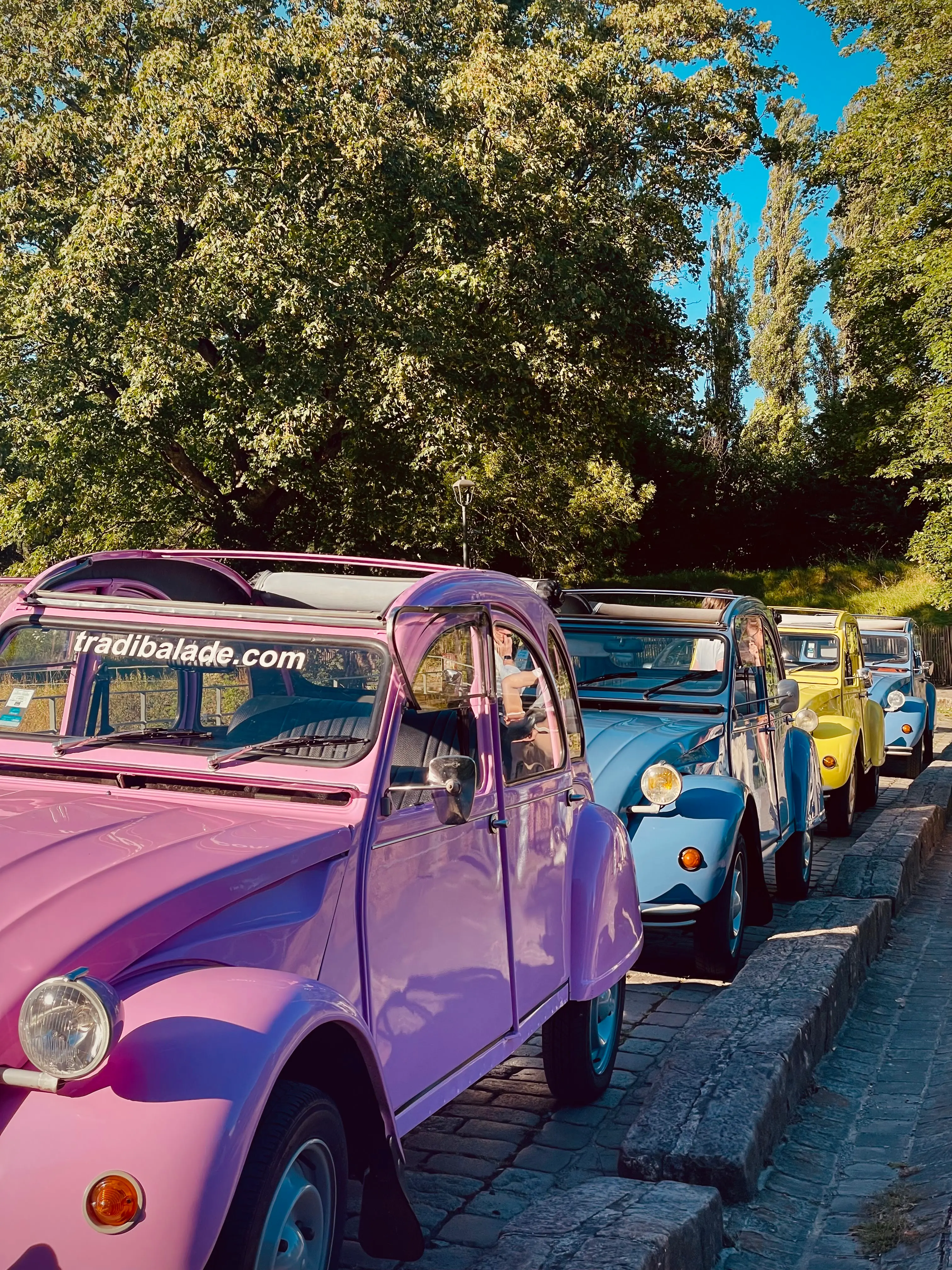 Visites de Lille en 2CV - LILLE (Nord)