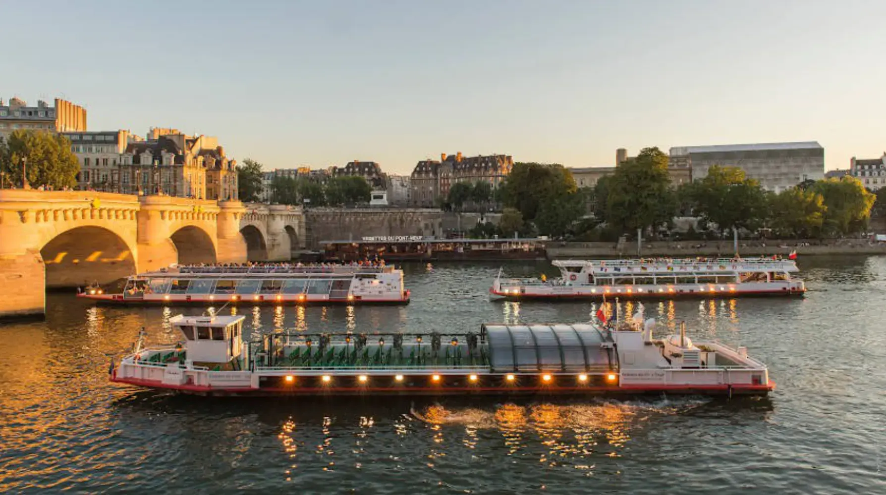 Vedettes du Pont Neuf - PARIS (Paris)