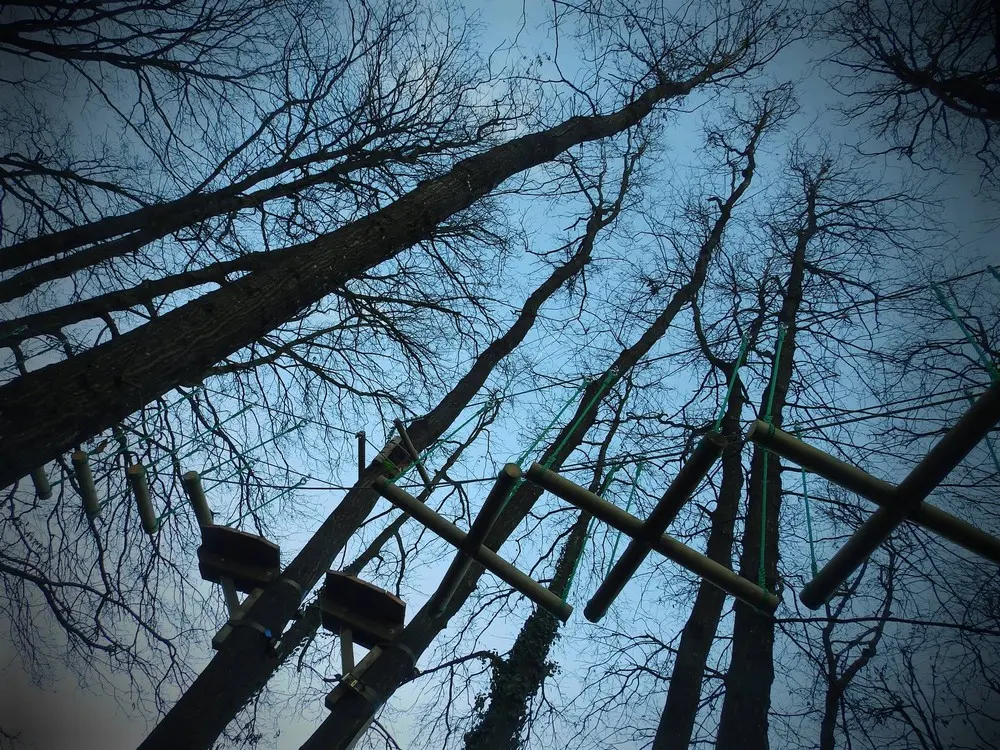 Saumur Forest Aventures - SAUMUR (Maine-et-Loire)
