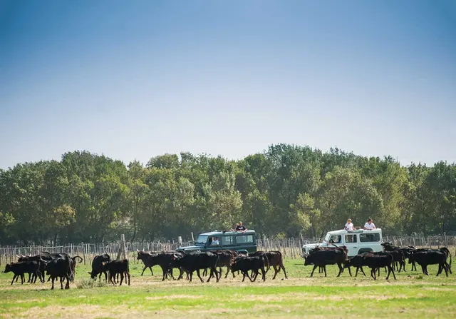 Chasse au trésors en 4X4 ou vélo électrique - LE GRAU-DU-ROI (30)