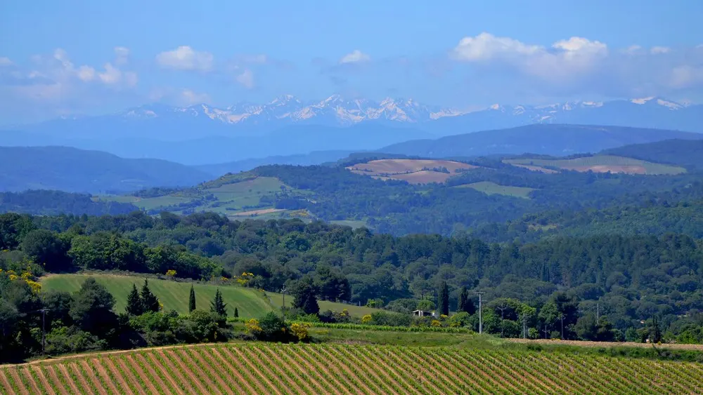 Domaine Saint-Martin - LEUC (Aude)